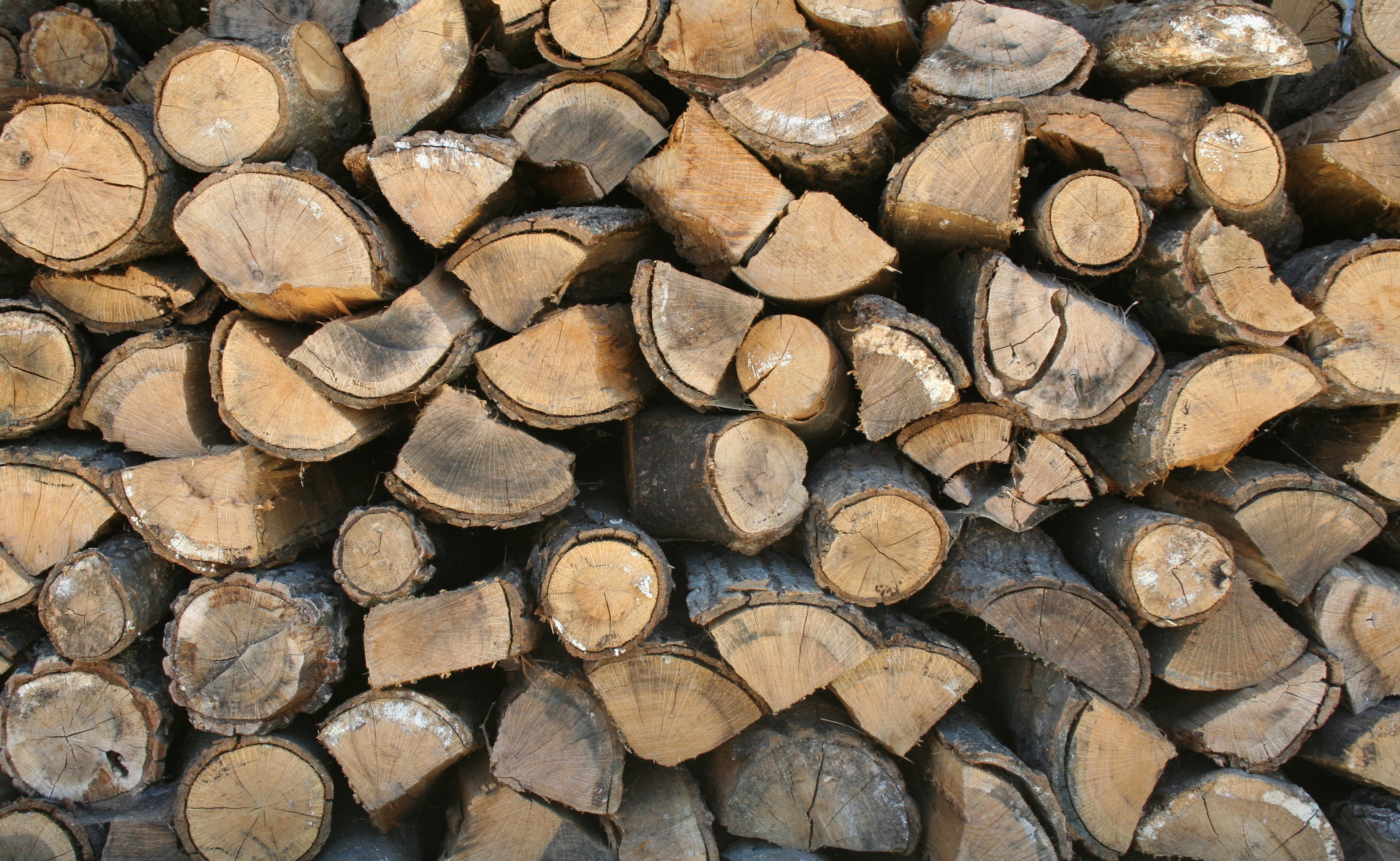 Neatly stacked cut firewood rounds ready for winter burning