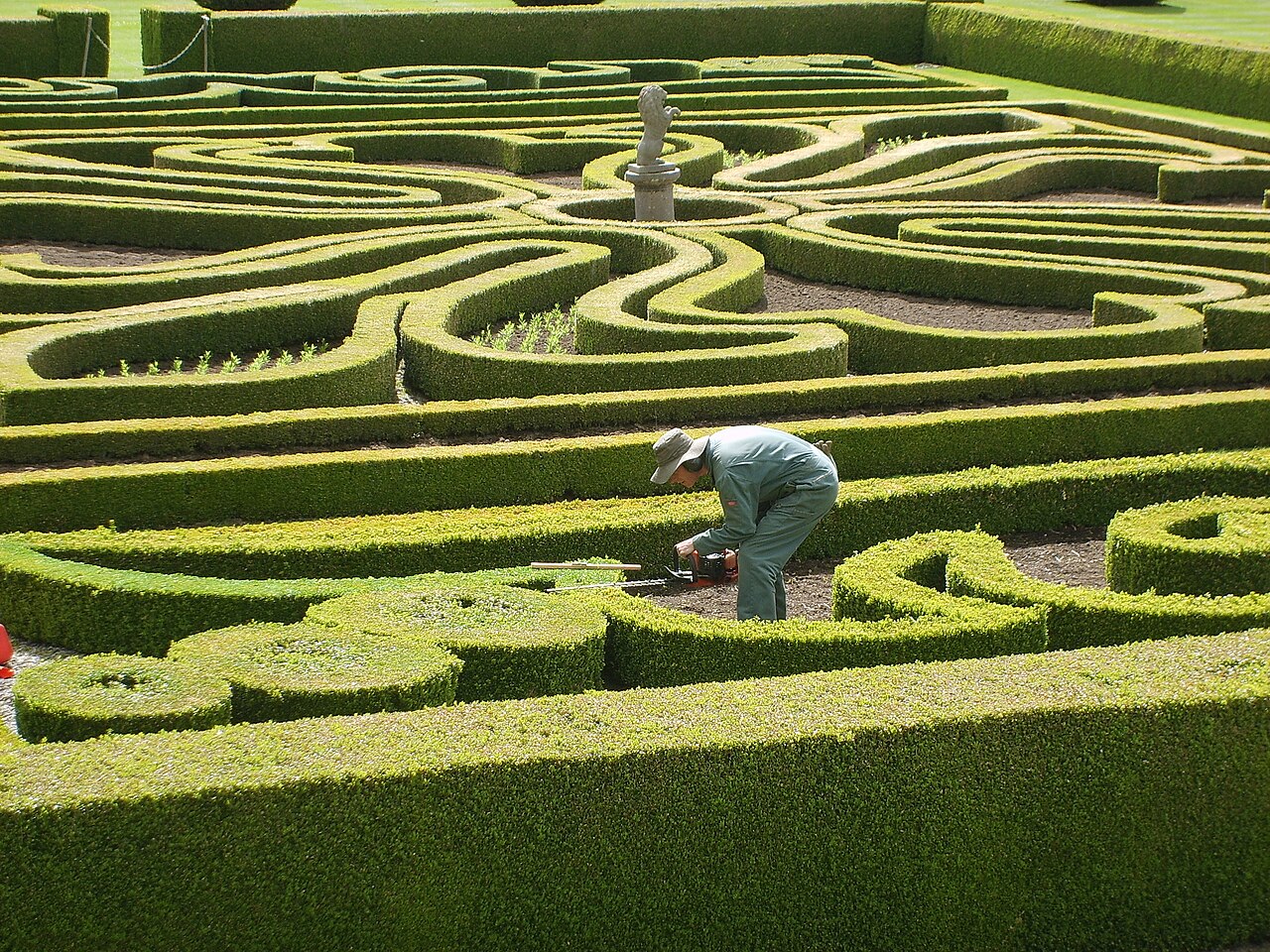Gardener trimming formal parterre hedges with a powered hedge trimmer